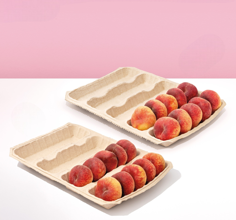 pulp melon trays