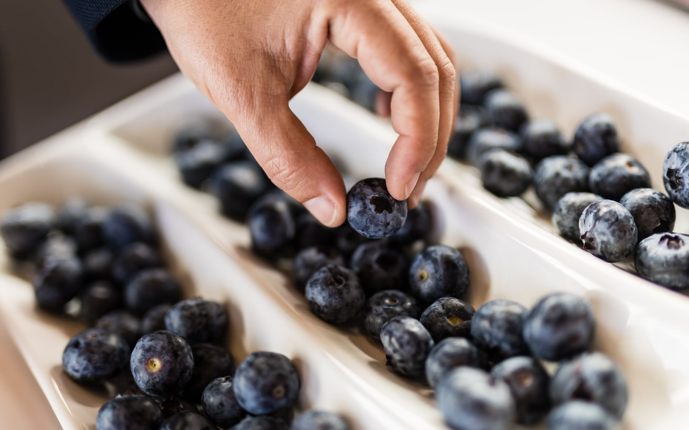 berry-congress-cartonpack-group-2025-3.jpg