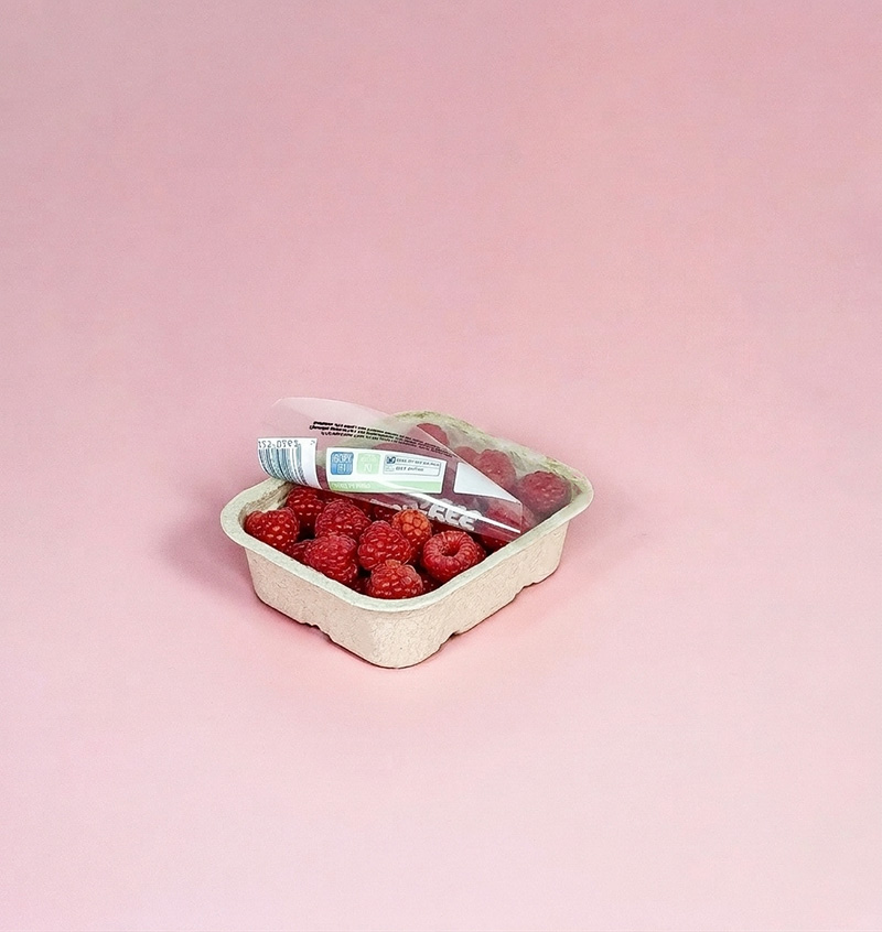 P-H40_Raspberries.jpg