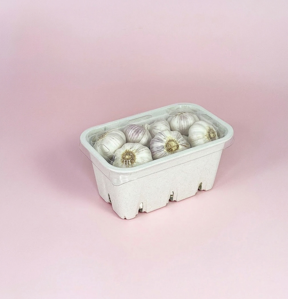 punnet d290 garlic.jpg