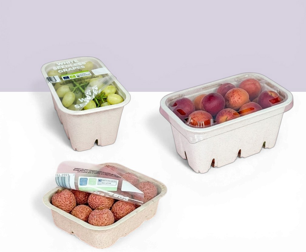 punnet COMPOSIT.jpg