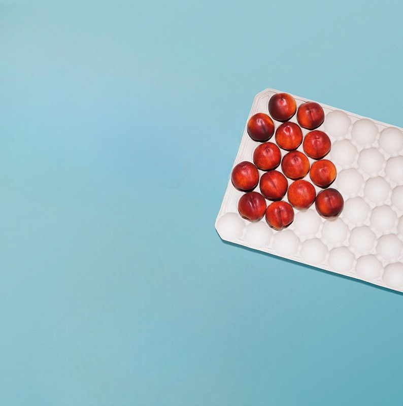 ALVEOLI SPHERICAL FRUITS.png