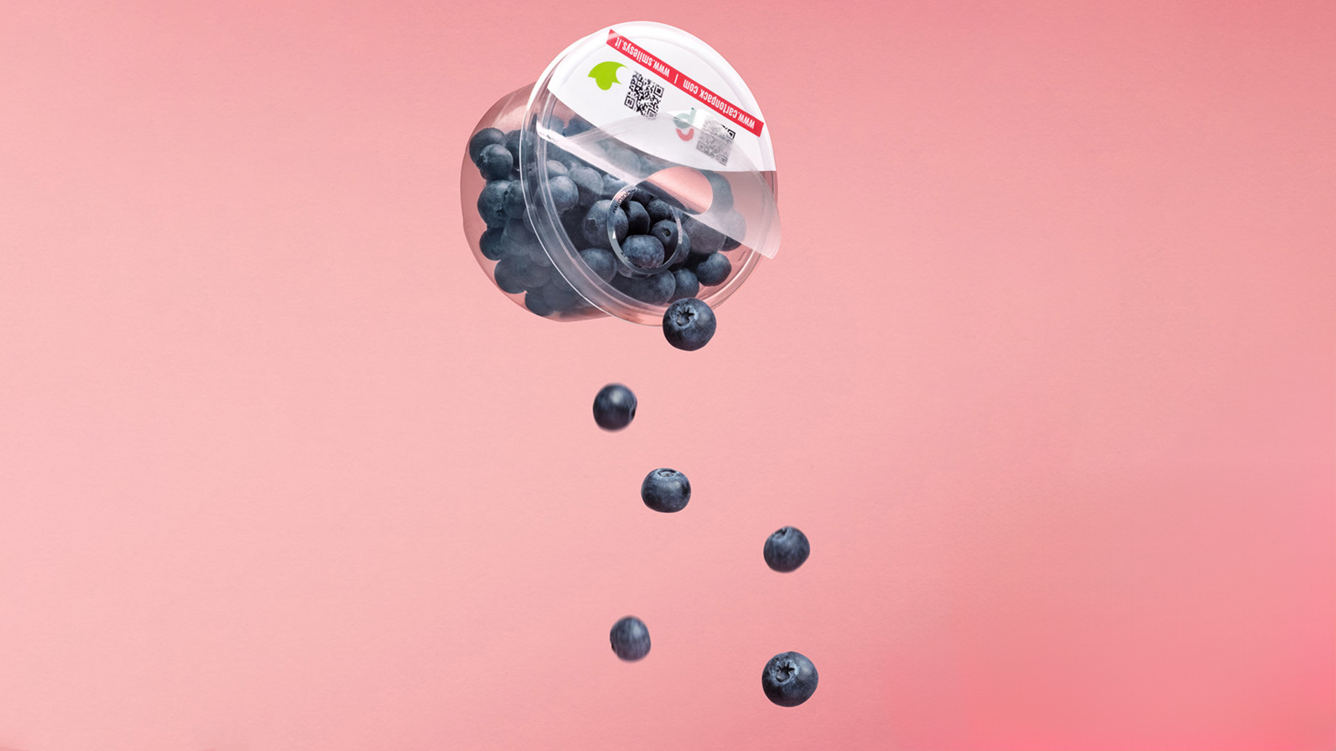 innovative solution cartonpackgroup.jpg