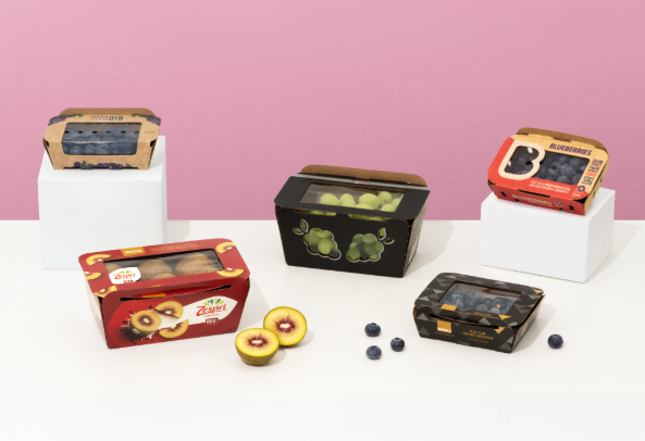 Industrial Applications of Cardboard Food Packaging