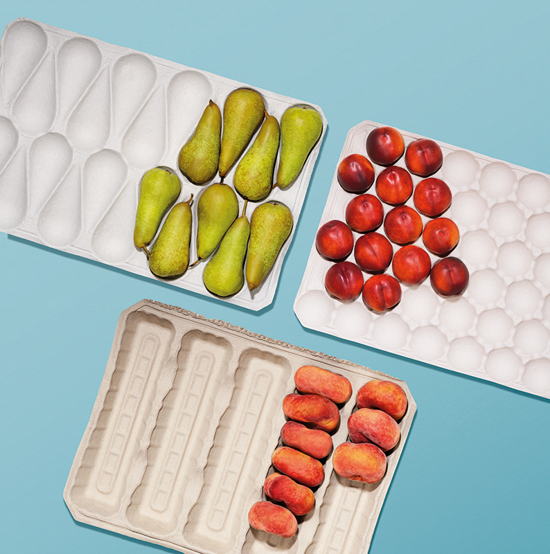 Pulp packaging