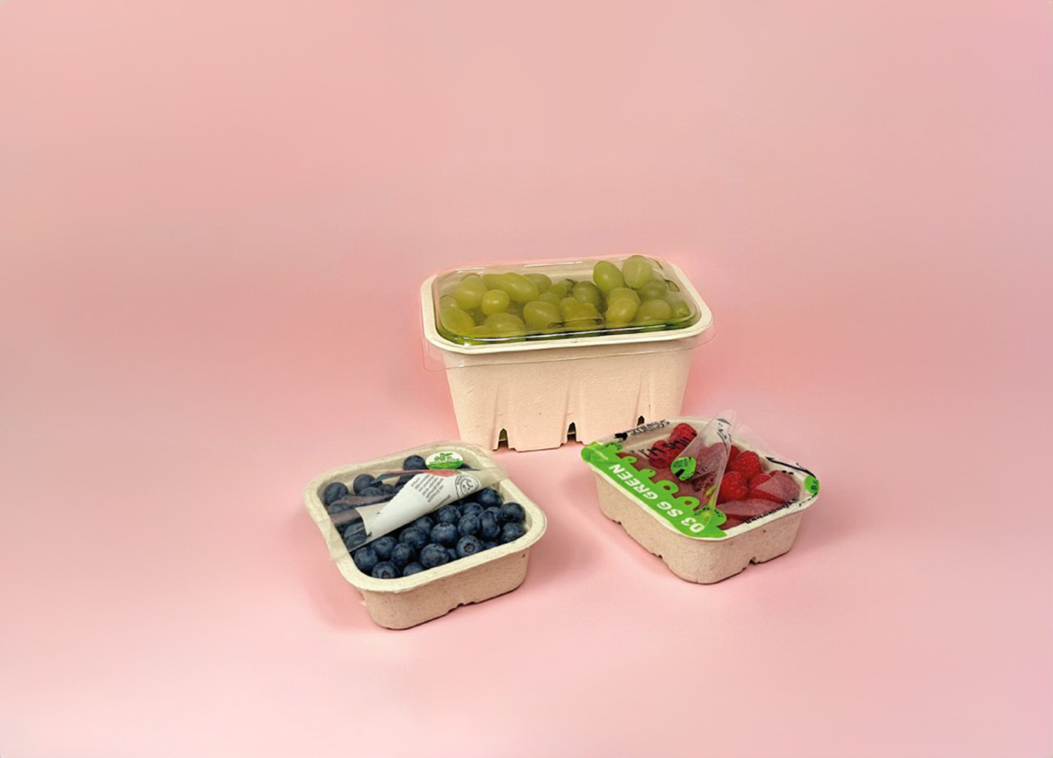 pulp punnets