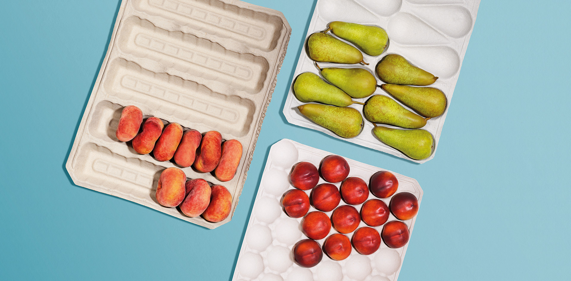 pulp for fresh produce